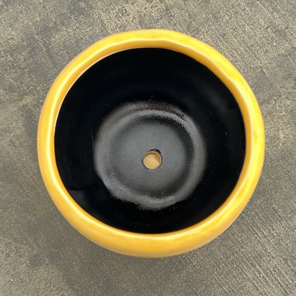 アンジェラ：黄L（直径約11cm）・皿付