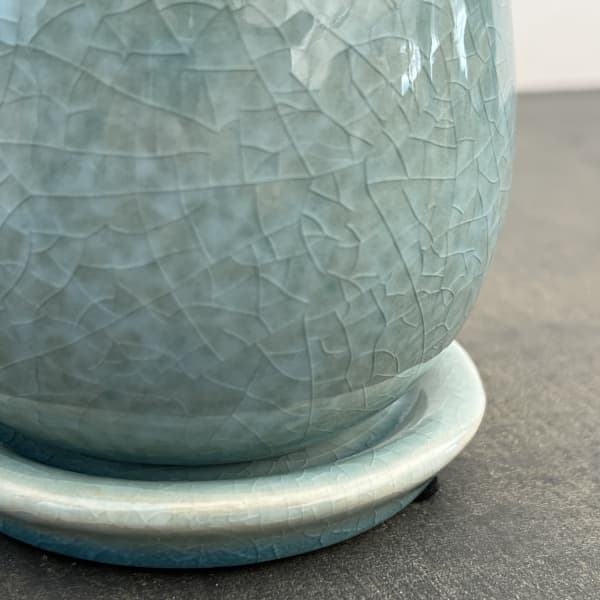 アンジェラ：薄青L（直径約11cm）・皿付