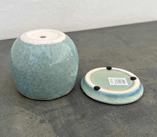 アンジェラ：薄青L（直径約11cm）・皿付