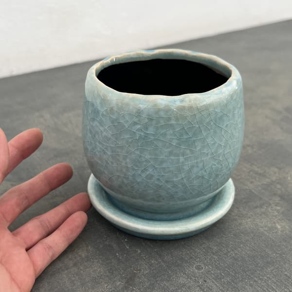 アンジェラ：薄青L（直径約11cm）・皿付