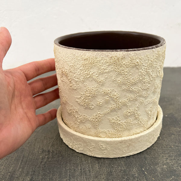 ジュリア：白L（直径12cm）・受け皿付