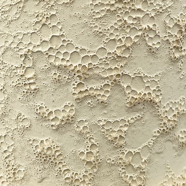 ジュリア：白L（直径12cm）・受け皿付