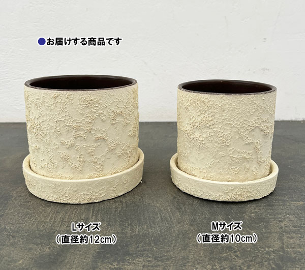 ジュリア：白L（直径12cm）・受け皿付