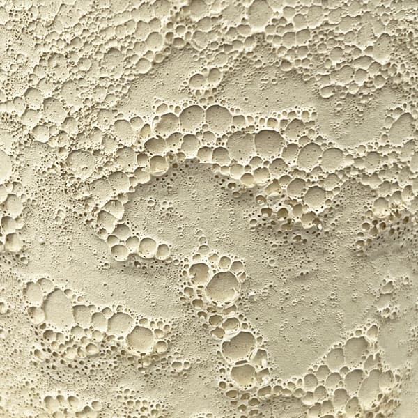 ジュリア：白M（直径10cm）・受け皿付