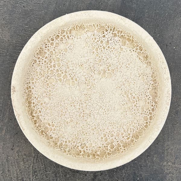 ジュリア：白M（直径10cm）・受け皿付