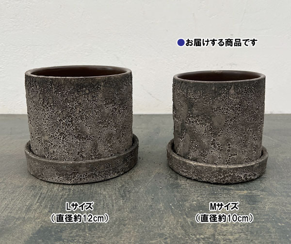 ジュリア：濃グレイM（直径10cm）・受け皿付