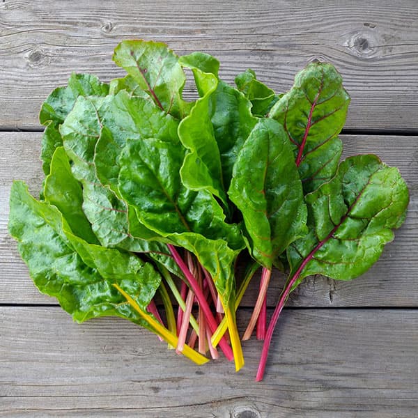 スイスチャード：トリプル（西洋ふだん草）[3～10月まき　野菜タネ]