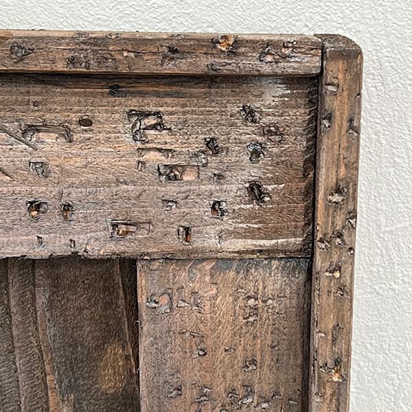 ボタニカルフレームC(45×35cm)