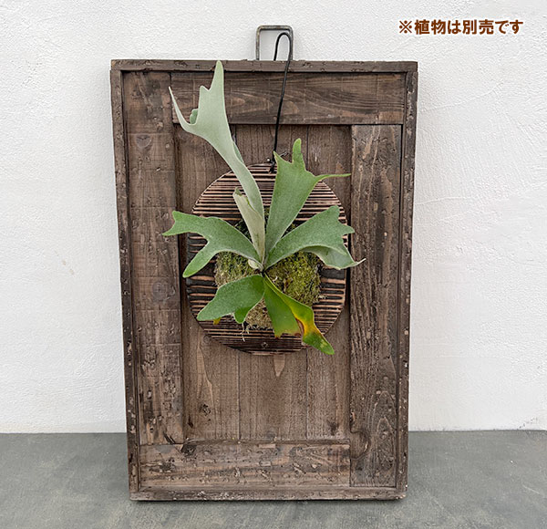 ボタニカルフレームB(55.5×36.5cm)