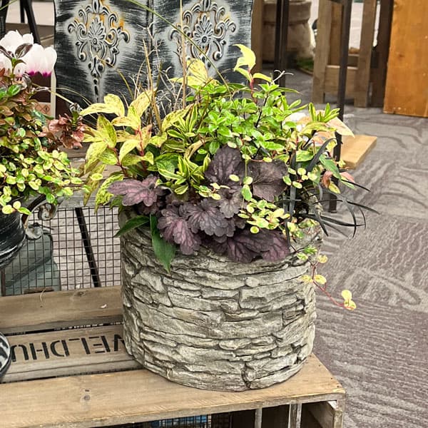 アシュラーポット AP-1 （直径19×高さ16cm）　