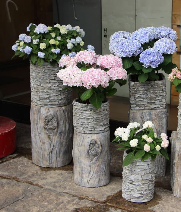 アシュラーポット AP-1 （直径19×高さ16cm）　