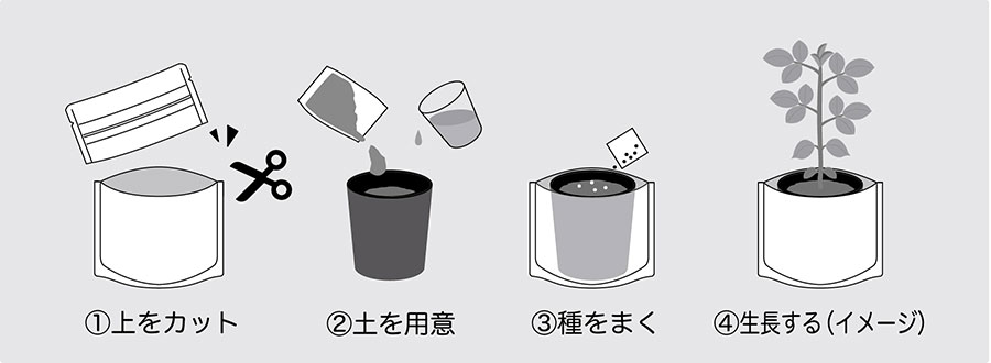 [ギフトに]オンタドール栽培キット：バタフライピー