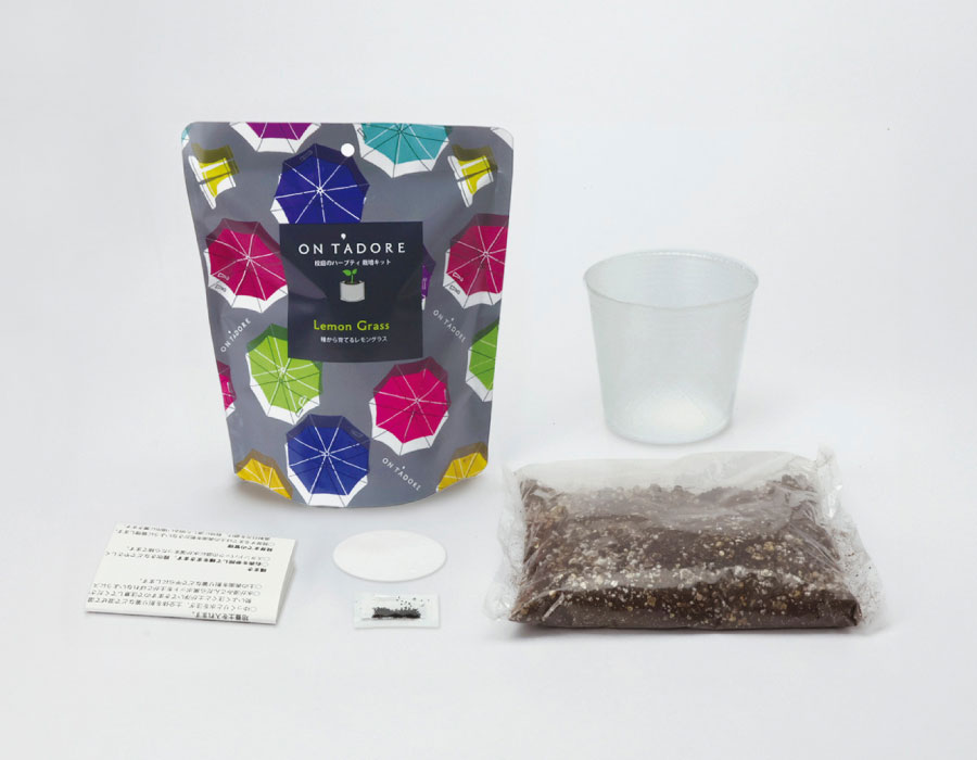 [ギフトに]オンタドール栽培キット：バタフライピー