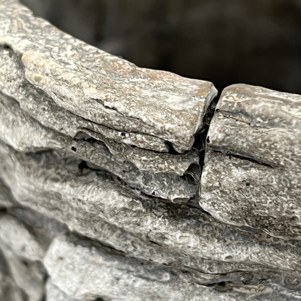 アシュラーポット AP-2 (直径16.5×高さ24cm)