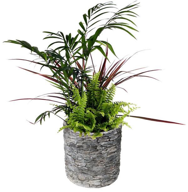 アシュラーポット AP-3 (直径24×高さ26cm)