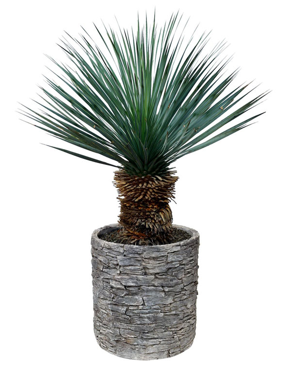 アシュラーポット AP-4 (直径29×高さ31cm)