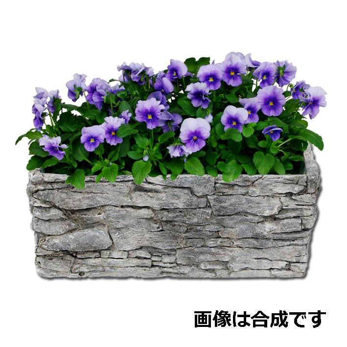 アシュラーポット AP-6 (30.5×14×高さ12cm)