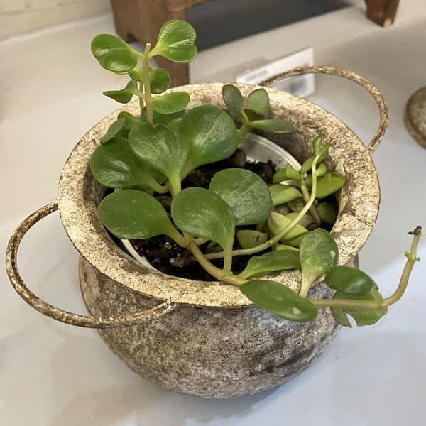 ミルヴァ：マルミット アンティーク（内径7.5cm／底穴なし）