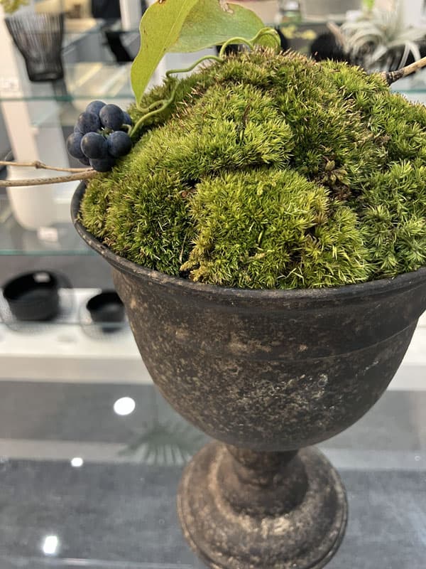 モニカ：カップ 黒（直径15.5cm／底穴なし）