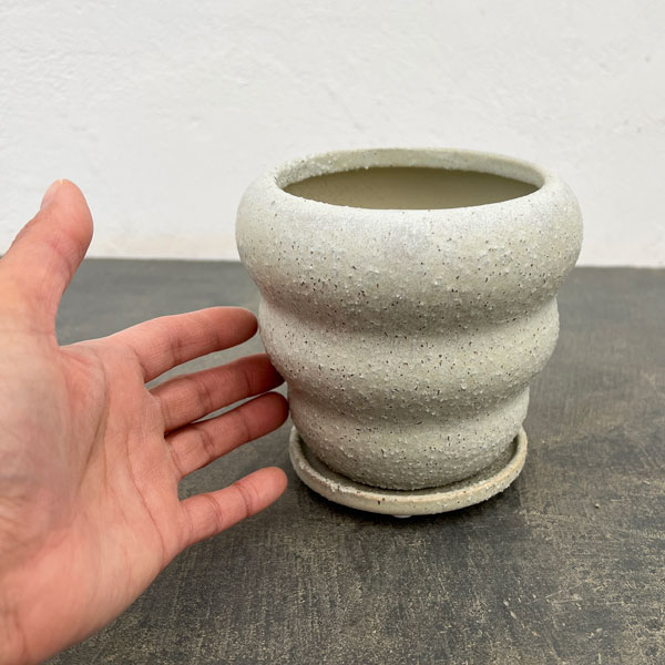 マノン：薄緑M（直径約12cm）・受け皿付