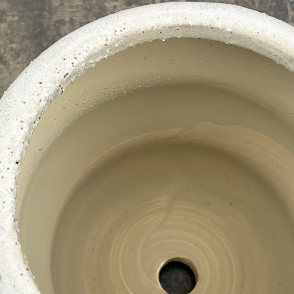 マノン：薄緑M（直径約12cm）・受け皿付