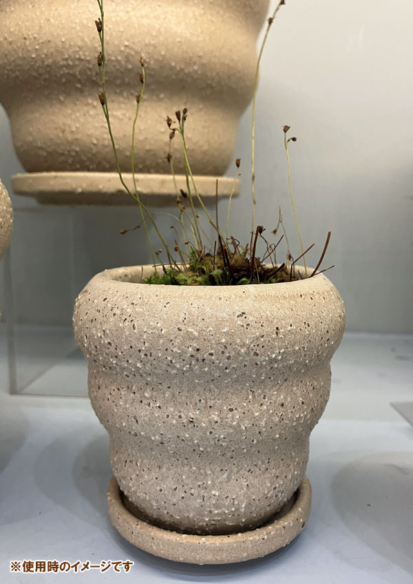 マノン：白M（直径12.5cm）・受け皿付