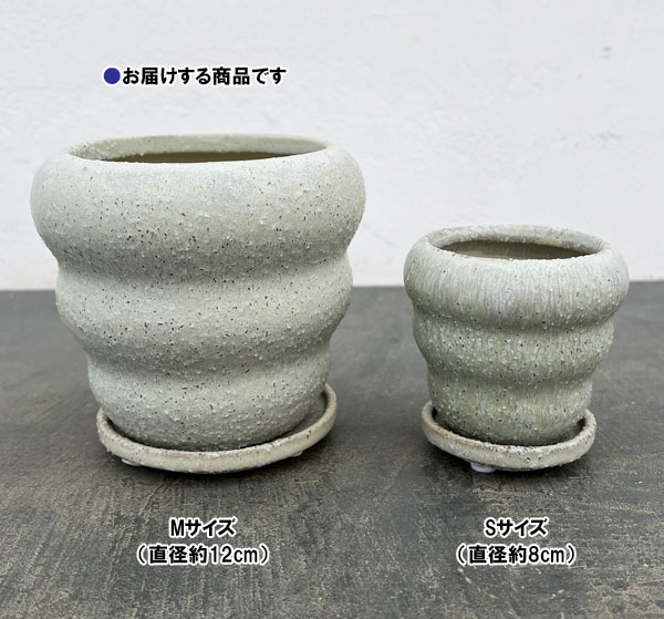 マノン：薄緑M（直径約12cm）・受け皿付