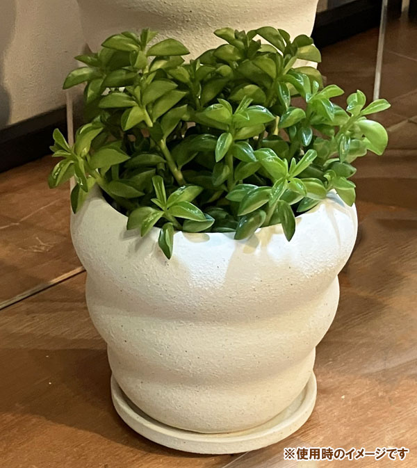 マノン：白M（直径12.5cm）・受け皿付