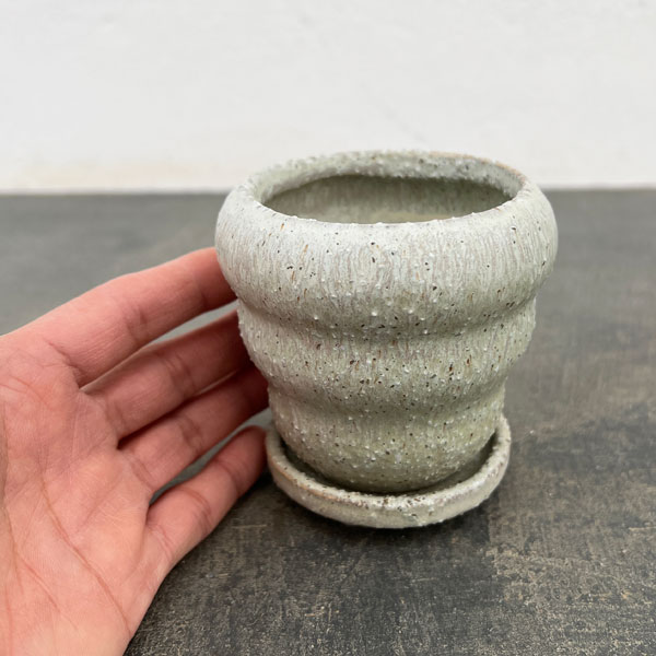 マノン:薄緑S(直径8cm)・受け皿付