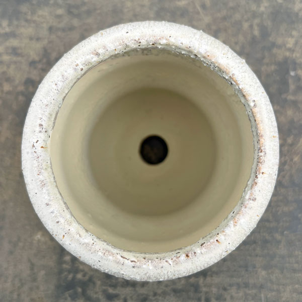 マノン:薄緑S(直径8cm)・受け皿付