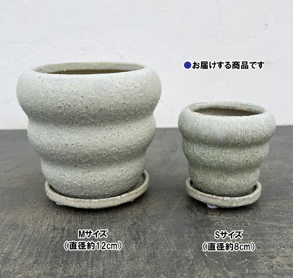 マノン:薄緑S(直径8cm)・受け皿付