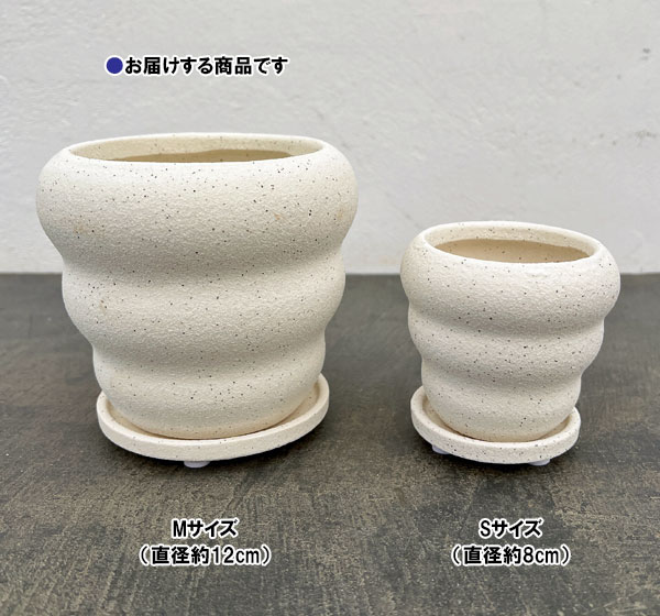 マノン：白M（直径12.5cm）・受け皿付