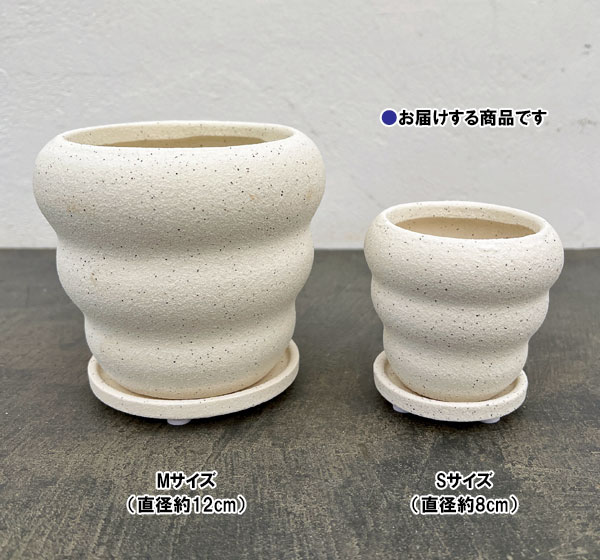 マノン：白S（直径8cm）・受け皿付