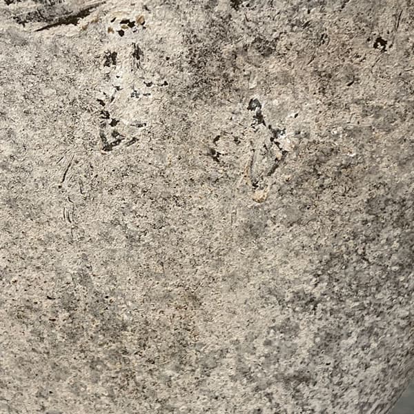 ミルヴァ：オーヴァルバケットM（幅29.5cm・奥行18.5cm／底穴なし）