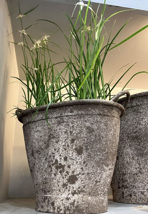 ミルヴァ：オーヴァルバケットL（幅34cm・奥行22cm／底穴なし）