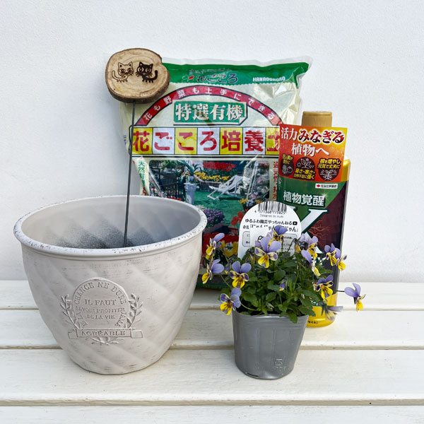 見元園芸さんのビオラ：にゃんにゃんぽこにゃん植え込みセット（ホワイト鉢・エックスエナジー付）