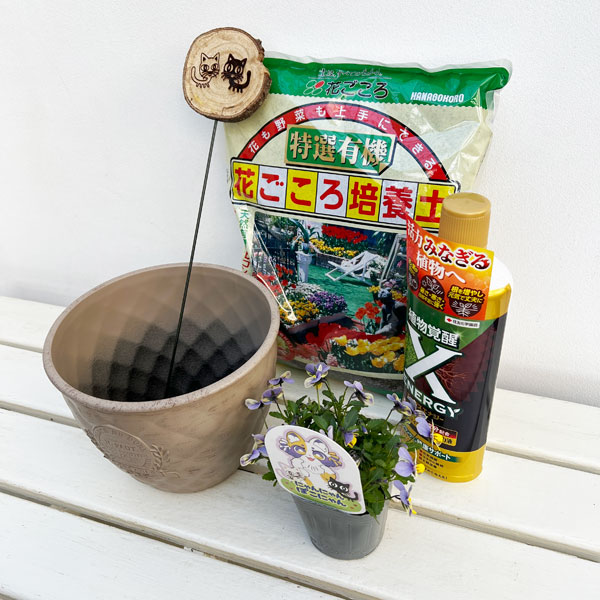 見元園芸さんのビオラ:にゃんにゃんぽこにゃん植え込みセット(ベージュ鉢・エックスエナジー付)