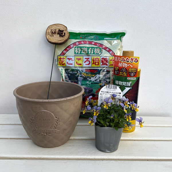 見元園芸さんのビオラ:にゃんにゃんぽこにゃん植え込みセット(ベージュ鉢・エックスエナジー付)