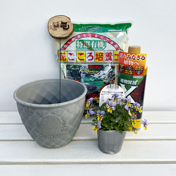 見元園芸さんのビオラ：にゃんにゃんぽこにゃん植え込みセット（グレー鉢・エックスエナジー付）