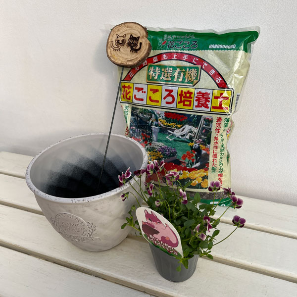 見元園芸さんのビオラ:食いしん坊のもぐもぐモモンガ 植え込みセット(ホワイト鉢)