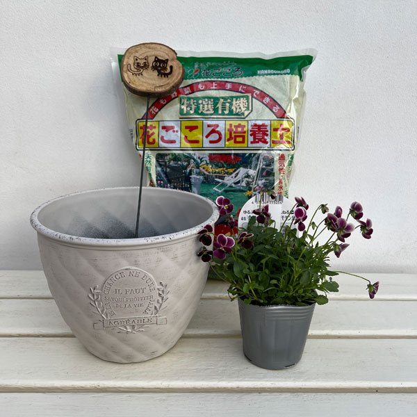 見元園芸さんのビオラ:食いしん坊のもぐもぐモモンガ 植え込みセット(ホワイト鉢)