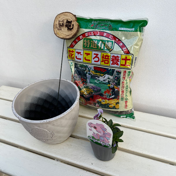 見元園芸さんのビオラ：ふわふわ金魚ちゃん　植え込みセット（ホワイト鉢）