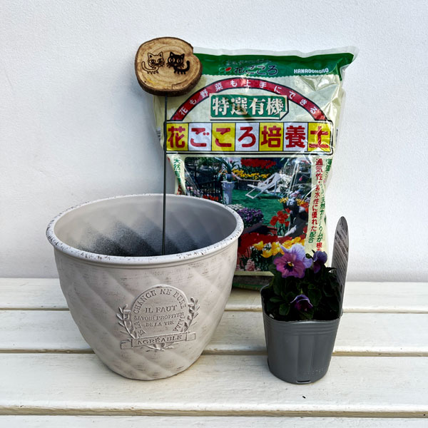 見元園芸さんのビオラ：ふわふわ金魚ちゃん　植え込みセット（ホワイト鉢）