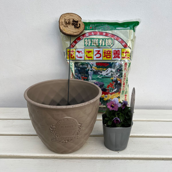 見元園芸さんのビオラ:ふわふわ金魚ちゃん 植え込みセット(ベージュ鉢)
