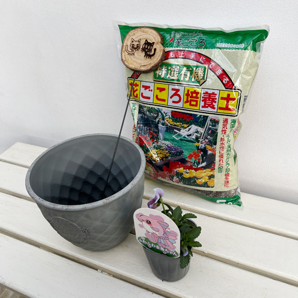 見元園芸さんのビオラ：ふわふわ金魚ちゃん　植え込みセット（グレー鉢）