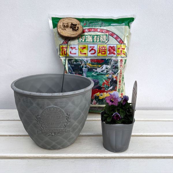 見元園芸さんのビオラ：ふわふわ金魚ちゃん　植え込みセット（グレー鉢）