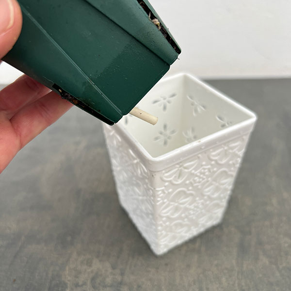 シクラメン:アンジュ パープル3.5号底面給水角鉢