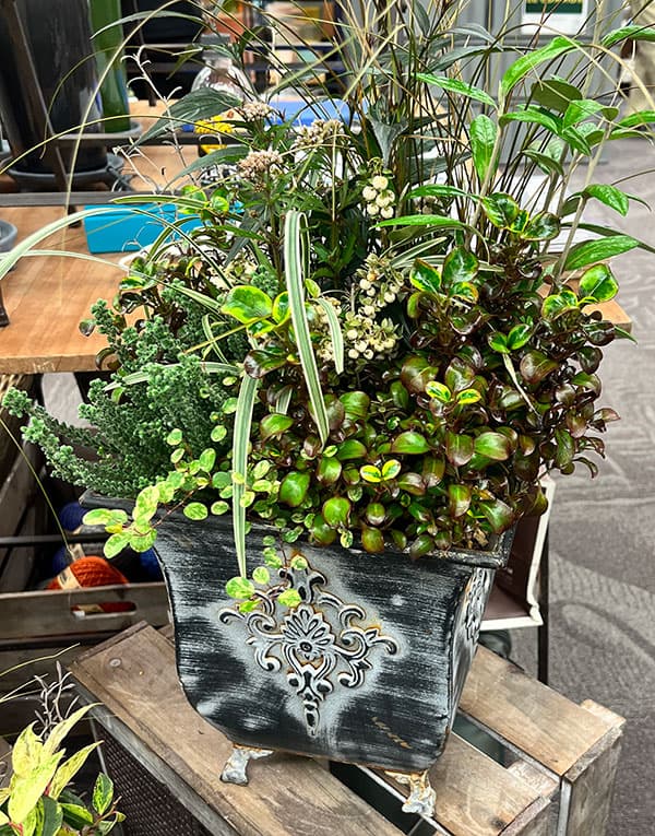 クラシカルティン T-10 大中小3個セット