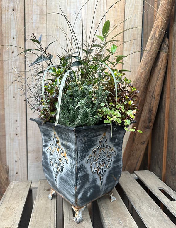 クラシカルティン T-10 大中小3個セット