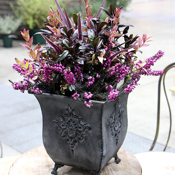 クラシカルティン T-10 大中小3個セット